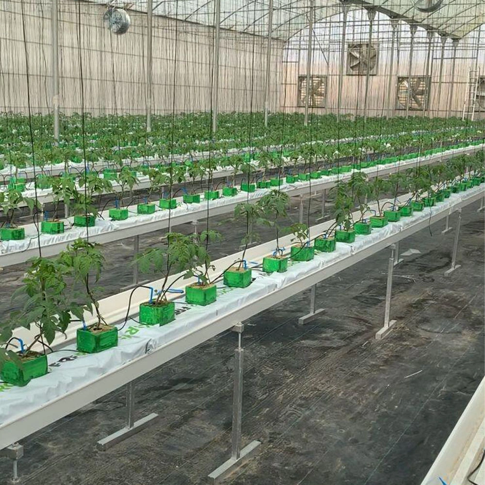 Commercial Tomato Plastic Growing Tube System Large Size PVC Pipe with Cocopeat Grow Bag Drip Irrigation System