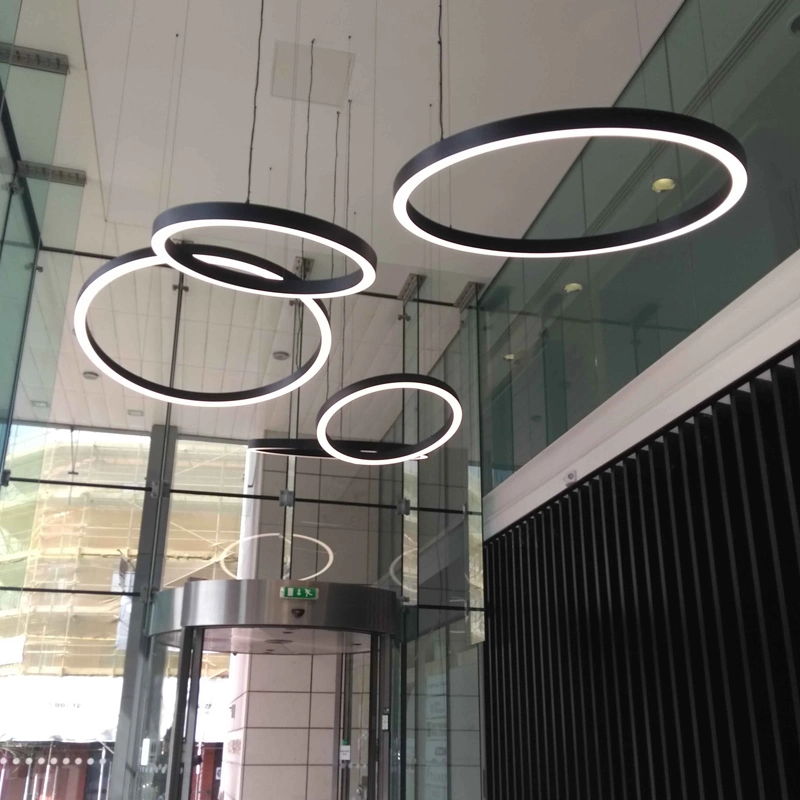 Flicker-Free Popular LED Pendant Ring Light Aluminum Circle LED Fittings with 5 Years Warranty