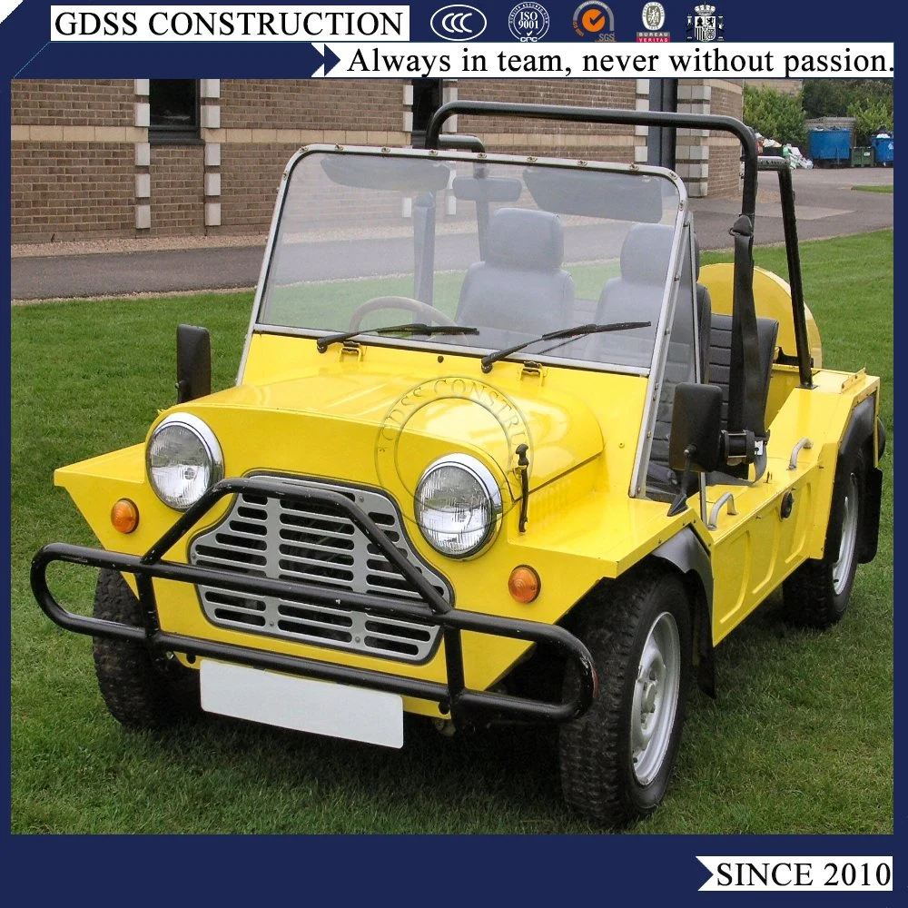 هيكل جديد من الألومنيوم علامة تجارية جديدة سيارة كهربائية طراز Mini Moke رائعة