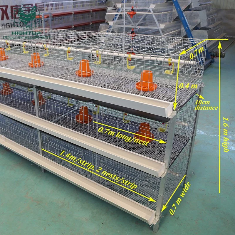 Poultry Farm Cold Galvanized H Type Stackable Broiler Chicken Cages for Sale