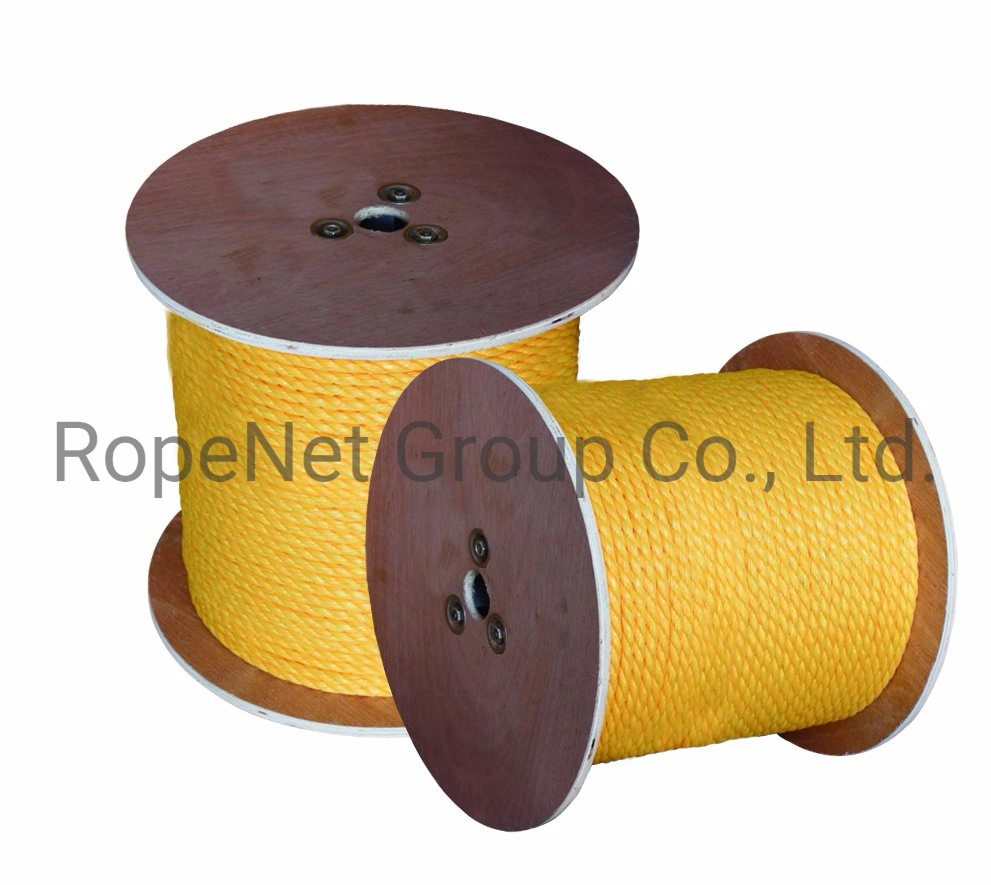 Plastic Polyester Polyamide Nylon Ropes for Fishing and Mooring 3/4/8/12 Strand Marine Polypropylene PP/PE Danline Plastic Rope Factory China