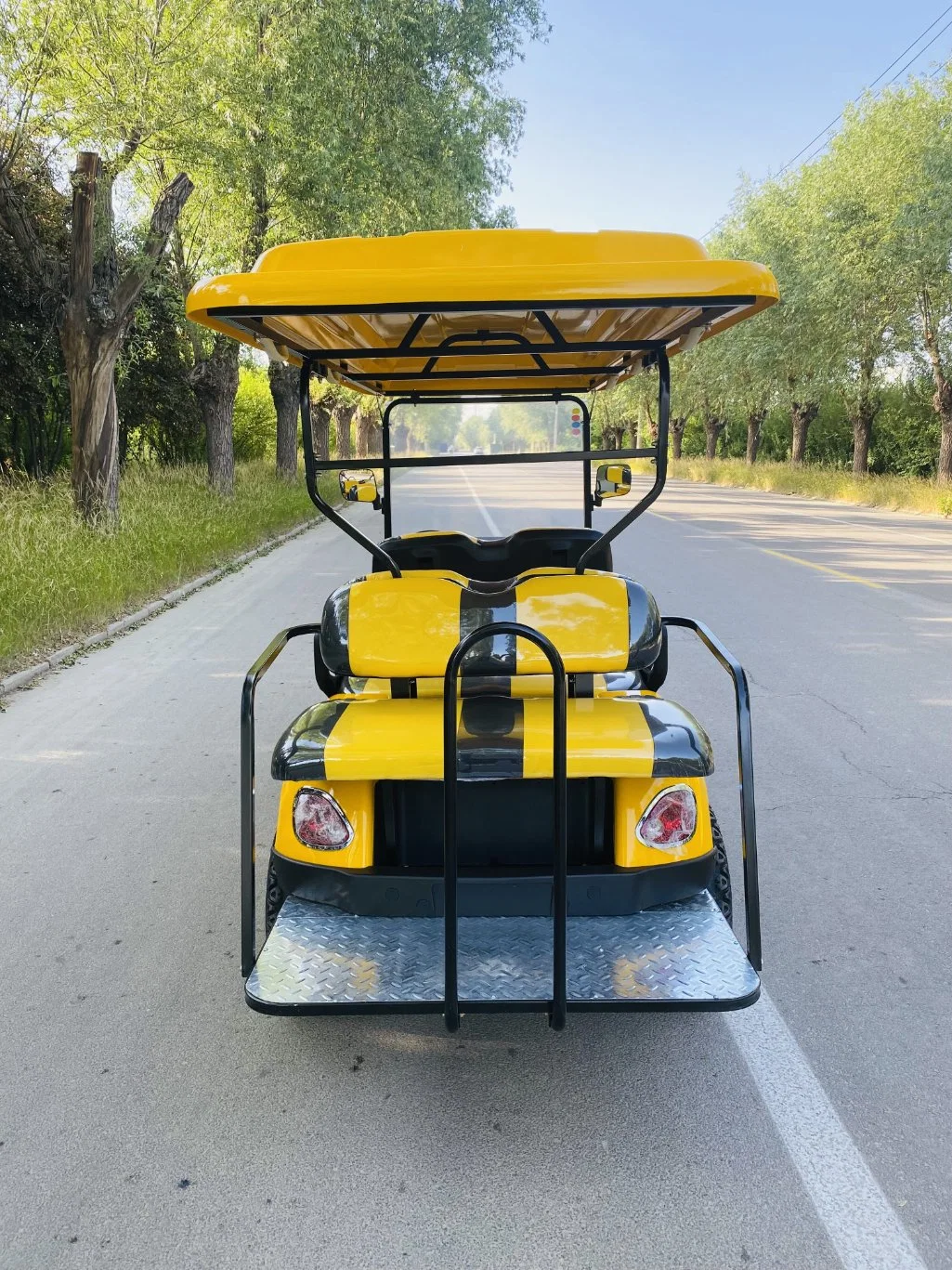 Carro do Golfo eléctrico e eléctrico com gás e luz LED