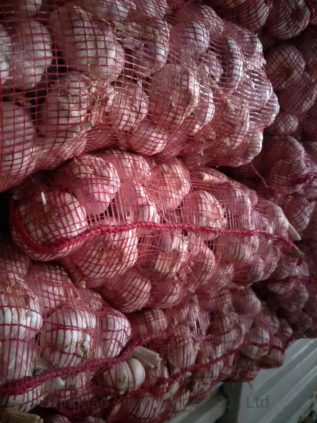 Selected 5cm 5.5cm Pure White Fresh Garlic