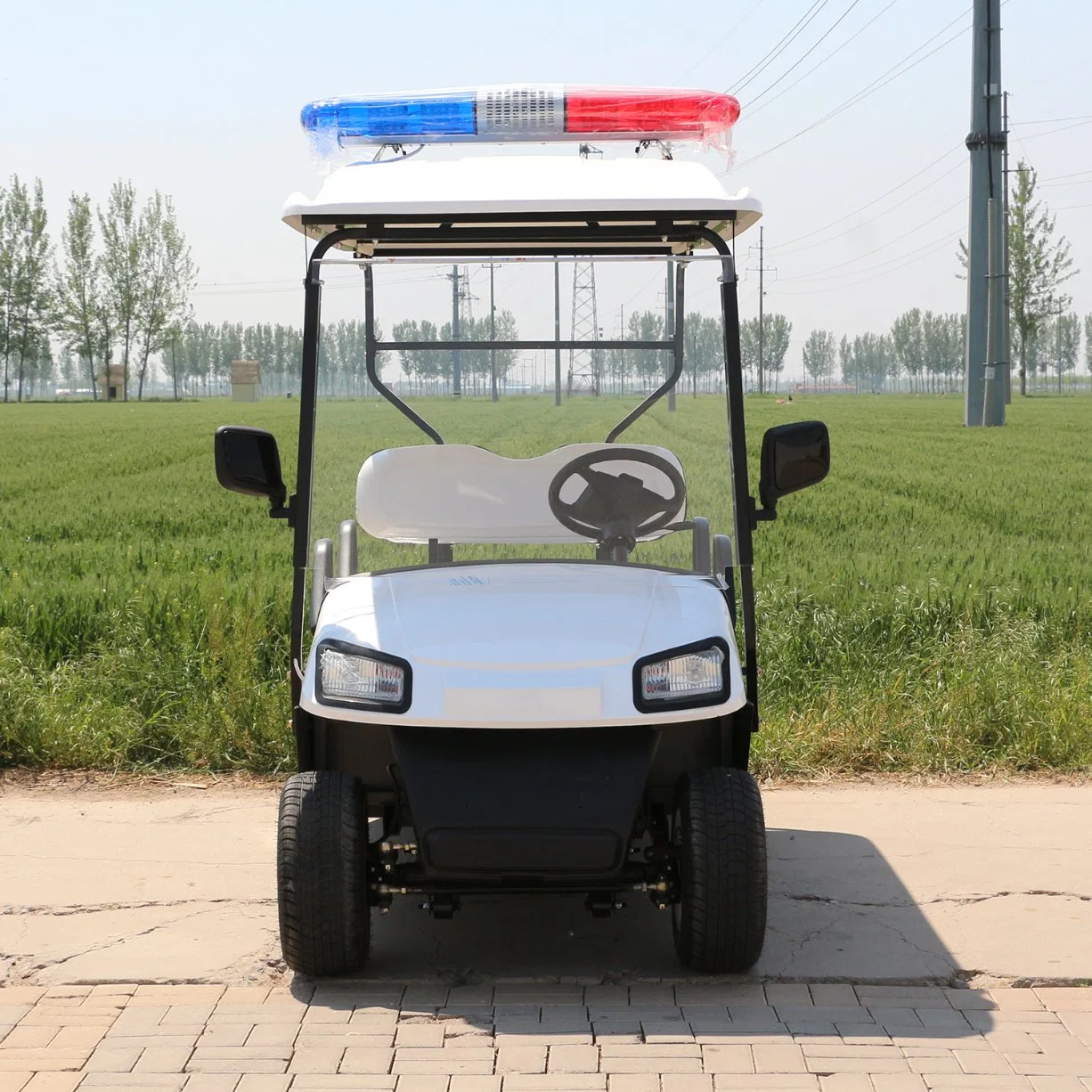 China 4 Passengers Electric Golf Vehicle with Alarm Light