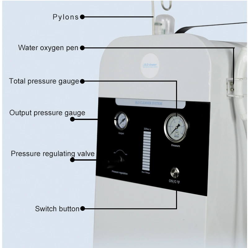 Máquina facial de beleza Microdermabrasion de peeling Hydro Diamond multifuncional para Salon Injecção de oxigénio