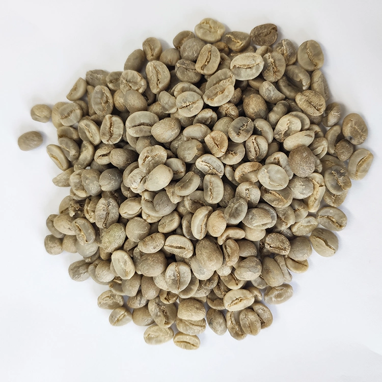 Export High Quality Arabica Green Coffee Beans