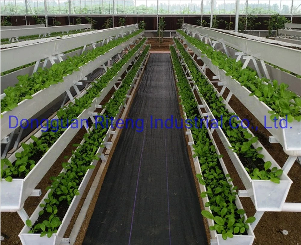 NFT Hydroponics System Growing Trog für Vertikalfarm