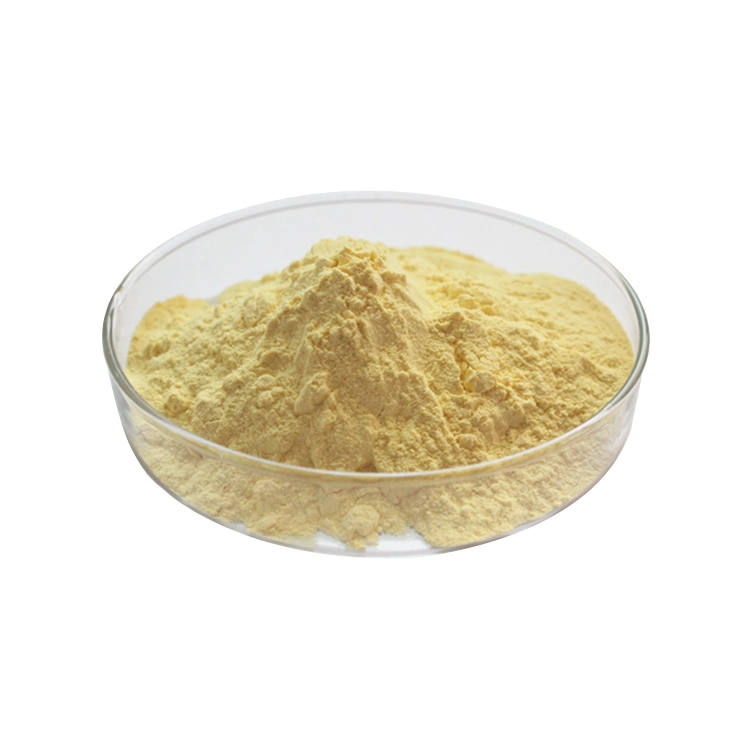 White Fungus Snow Ear Extract 30% Polysaccharide Powder Tremella Extract