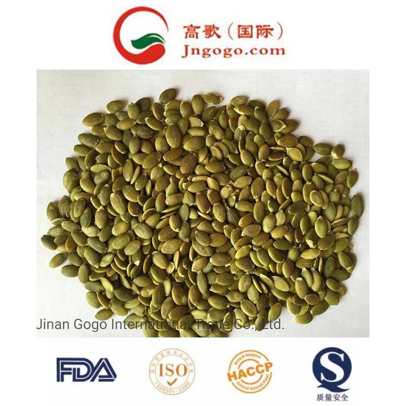 Top Quality Snow White Pumpkin Seeds From China