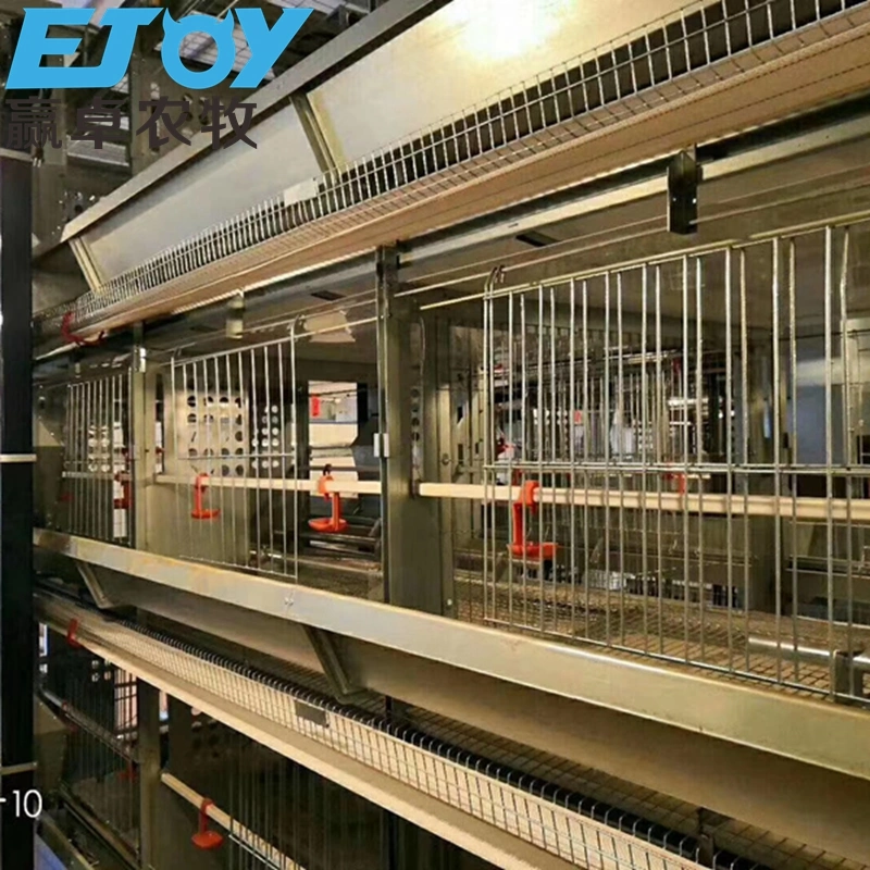 Low Cost Poultry Farm Design Battery Cage Chicken Layer Cage for Sale