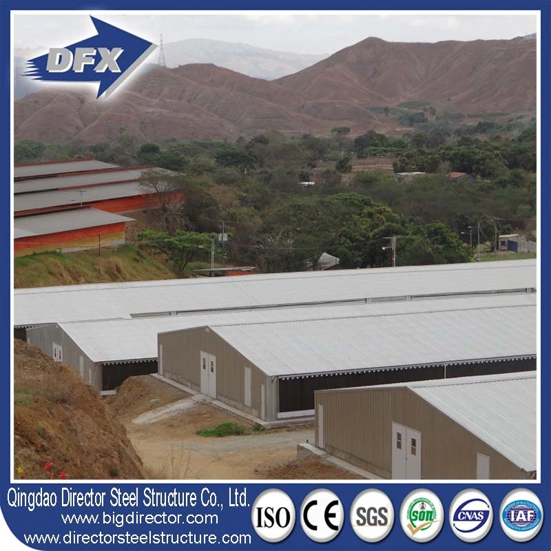 Import China Frame Poultry Farm Steel Structure Chicken House