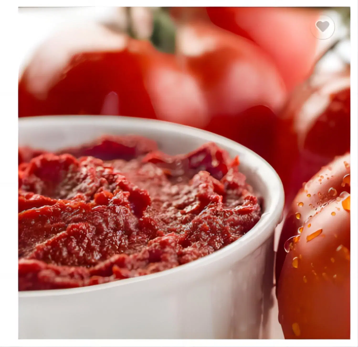 Pâte de tomates de haute qualité 36-38% de sauce tomate fraîche concentrée pour Ketchup