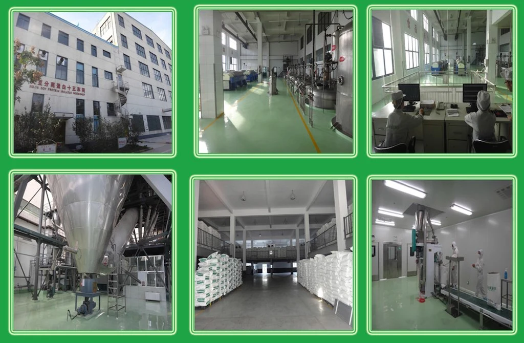 Original Factory Hot Sale CAS 9062-04-8 Carbomer with High Purity and Quality