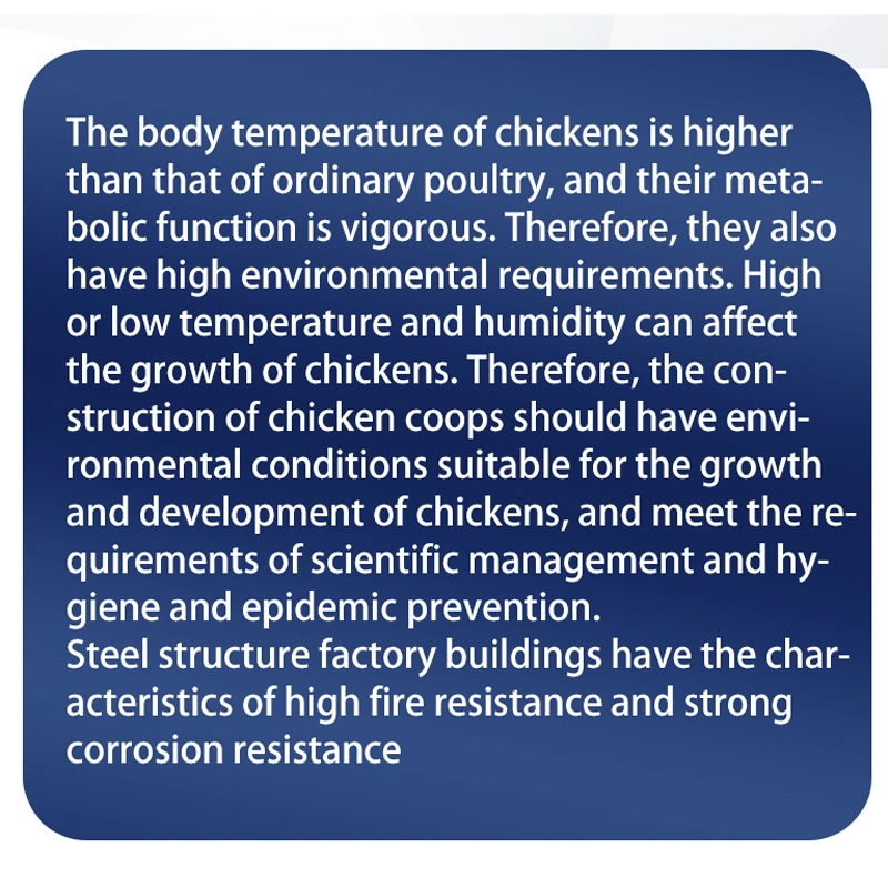 Cages de poulet intégrées TCA pour les éleveurs de poules systèmes automatisés fiables Élevage de volaille cage d'élevage de bétail matériel de volaille