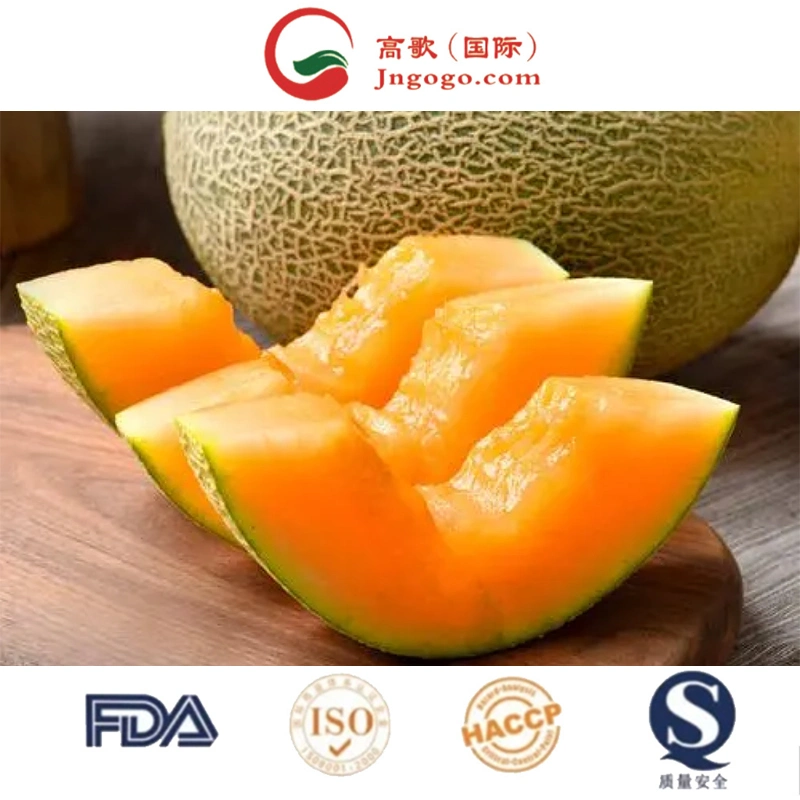 Available New Product Sweet Fresh Cantaloupe Hami Melon