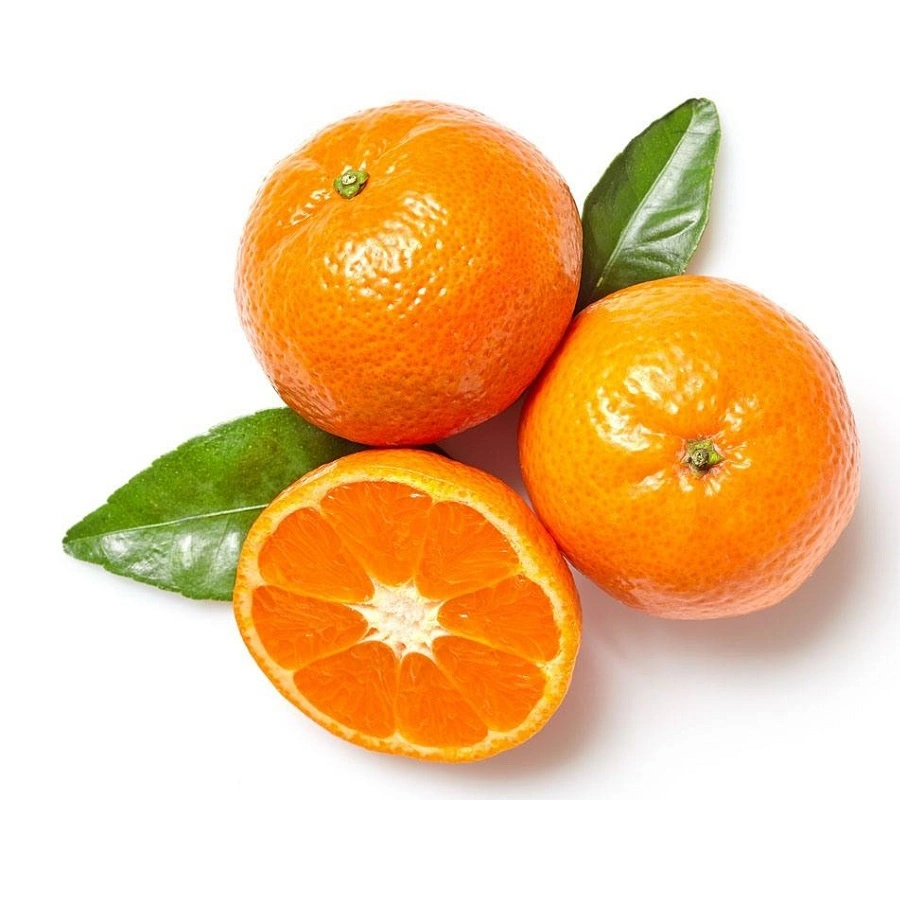 Fresh Mandarin Freshly Picked Seasonal and Premium Quality Wogan Mandarin