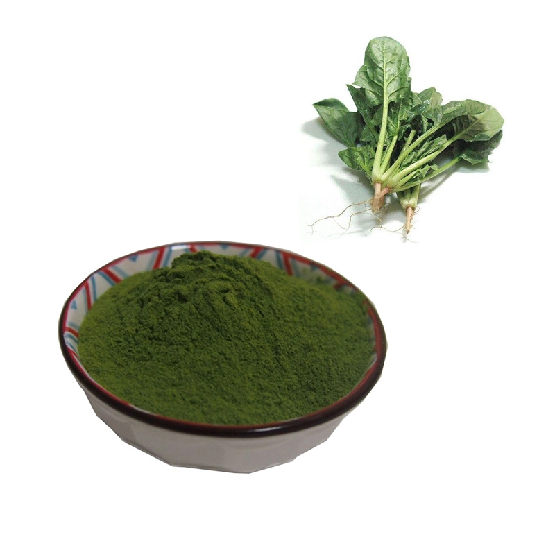 Spinach Extract Spinach Leaf Instant Powder