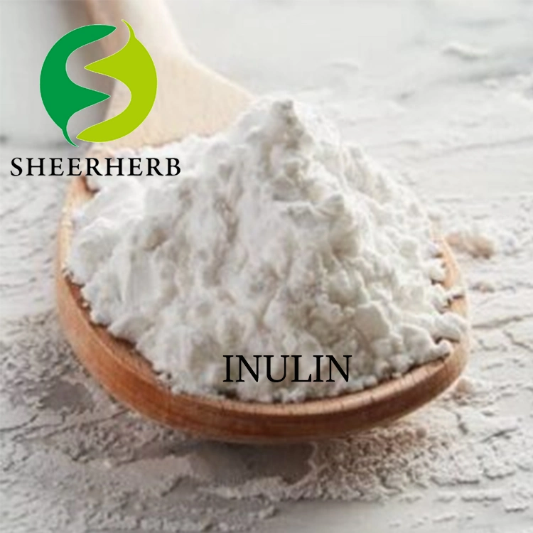 Hot Sale Inulin Chicory Root Extract Inulin Syrup Organic Inulin Prebiotic Inulin 9005-80-5 Inulin