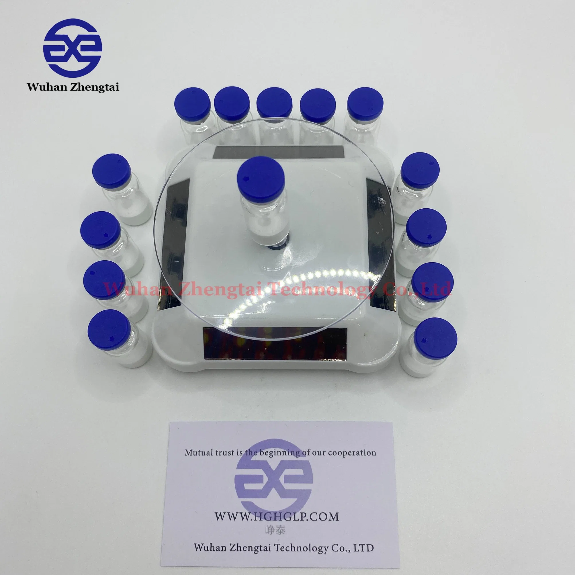 Weight Loss Peptide Semaglutide Tirzepatide Adipotide GLP1 Vials Customized Factory CAS: 859216-15-2