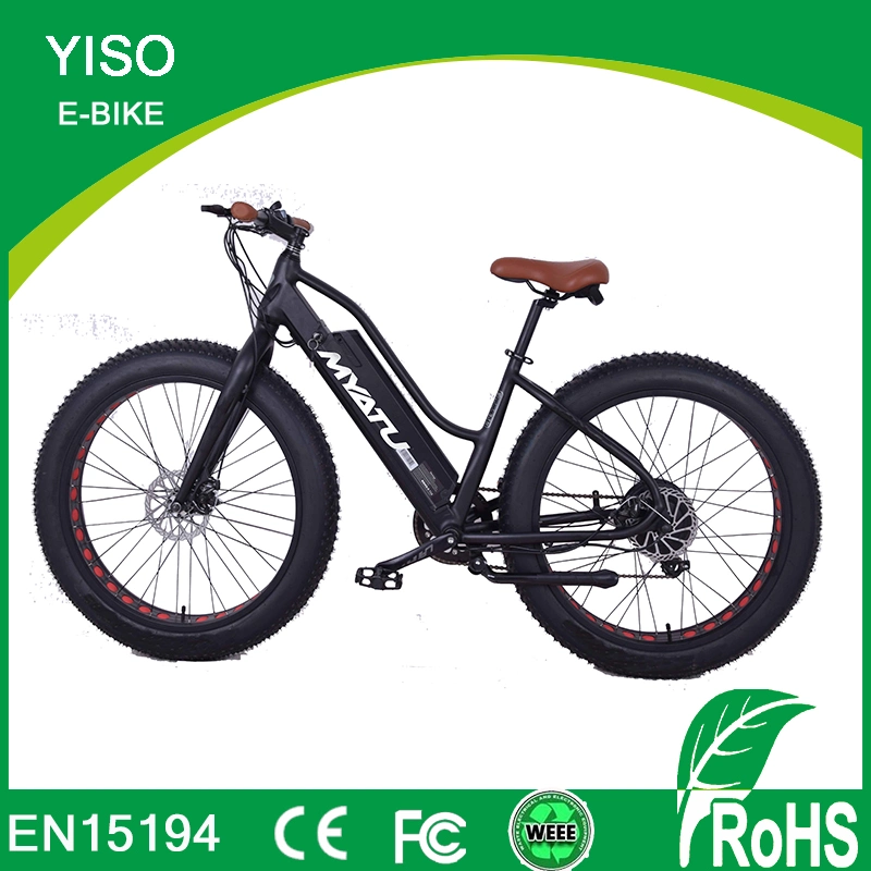 Fat Tire Pedal Assist Motorized Beach Cruiser Electric Bike