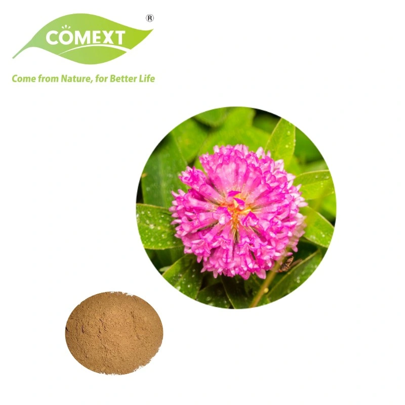 Comext Best Price Factory Direct Supply Trifolium Pretense L. 20% Isoflavones Red Clover Extract