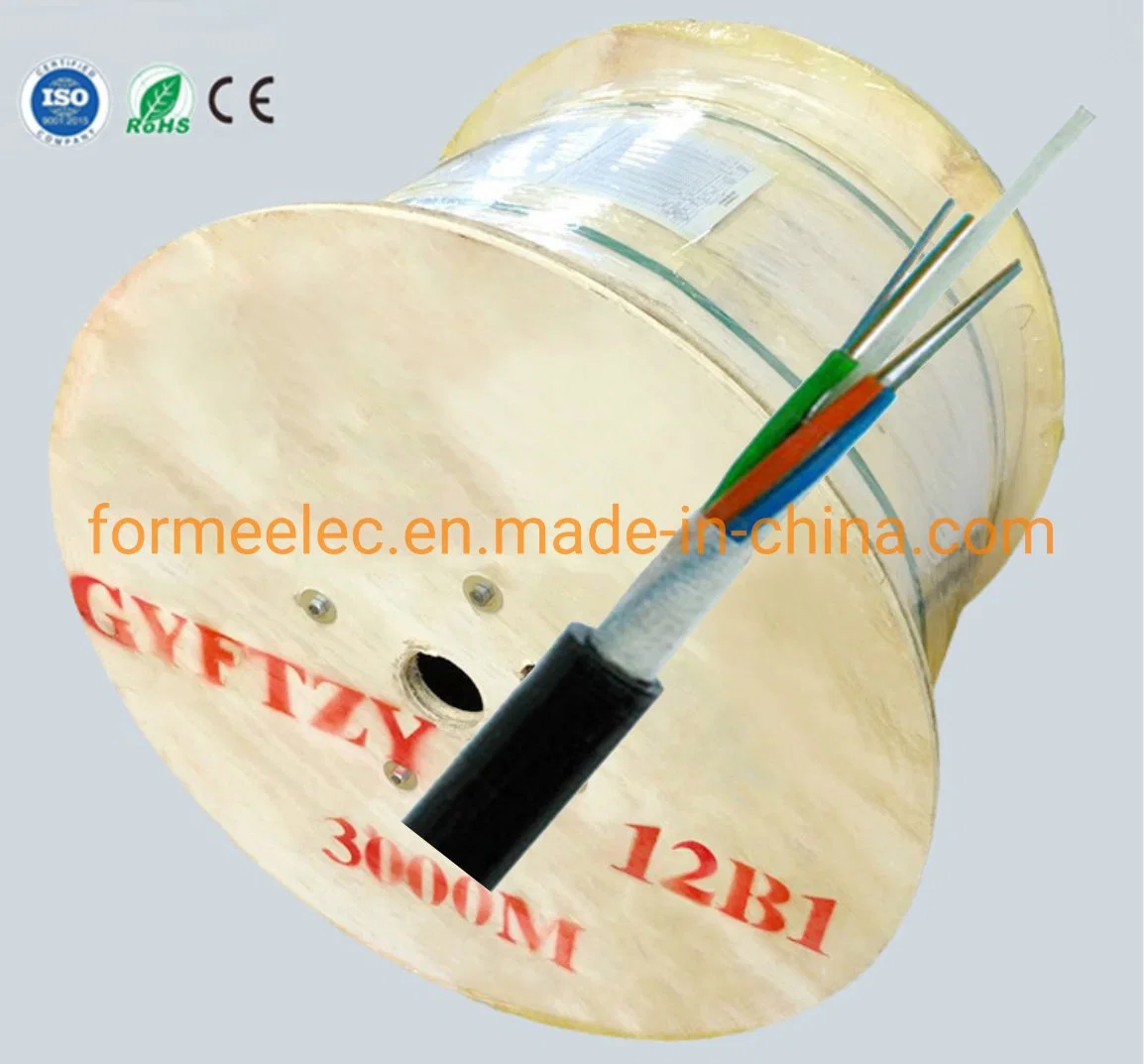 Non-Metallic Optical Fiber Cable Aerial Anti-Lightning Non-Armored Cable GYFTY 12 Core Fiber