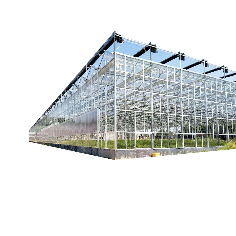 Vegetables Hydroponic Systems Equipment Multi-Span Glass Greenhouse