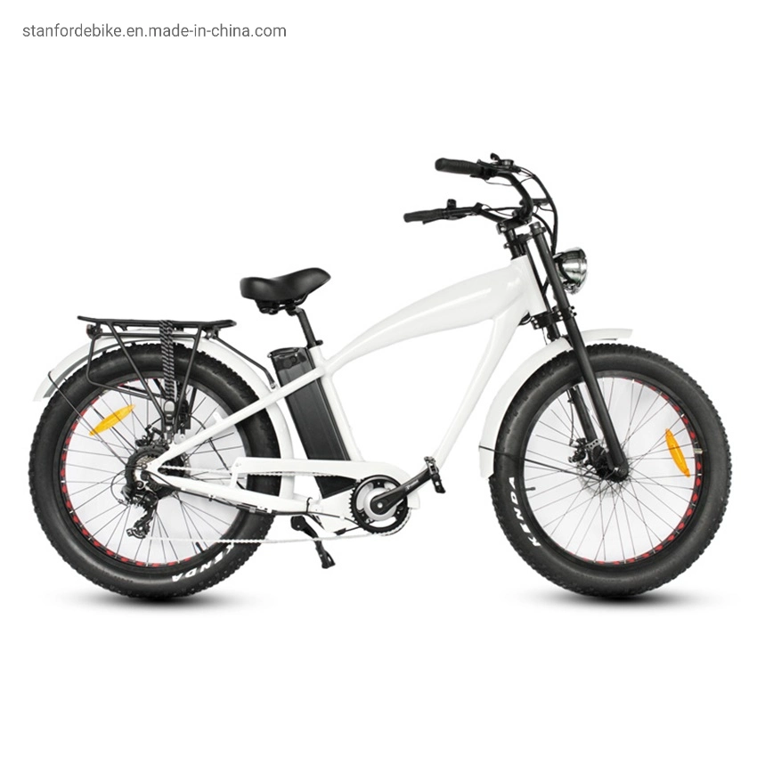 China Stf-4 High Quality Hot Sale Customized Cheap Adult Mountain Fat Tire Electric Bicycle