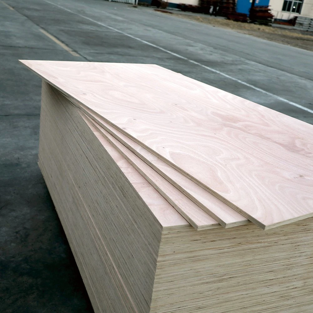 12 18mm Okoume/Bintangor/Pine/Birch/Poplar Furniture Plywood Manufacturing for Sale