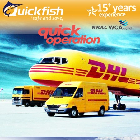 2022 The Fastest and Most Popular DHL/UPS/FedEx Express, Air Freight Shipping, Shipping From China to Canadatoronto / Vancouver / Ottawa / Montreal