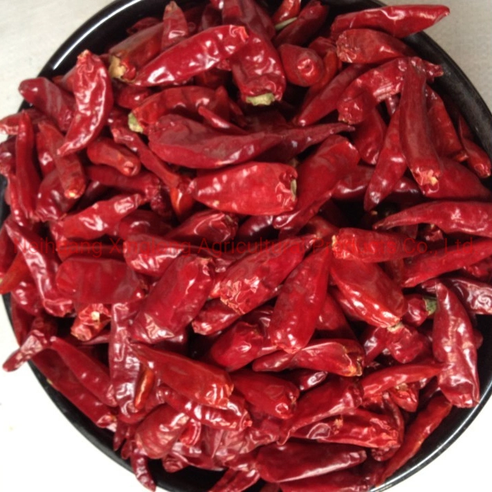 Chinesischer Roter, Trockener Chili Chaotian Chili Zidantou / Bullet Chili Cayenne-Pfeffer