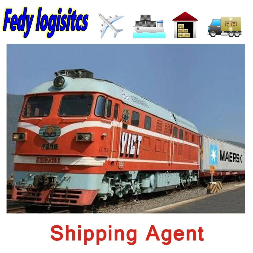 Export Agent DDP Sea Shipping Air Cargo Freight Forwarder to Tajikistan/Germany/Spain Railway/Train FedEx/UPS/TNT/DHL Express Shipping Agents Service Logistics