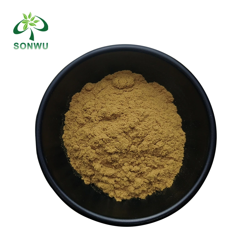 Sonwu Supply Herbal Medicine Forskolin Capsule Coleus Forskohlii Extract Forskolin