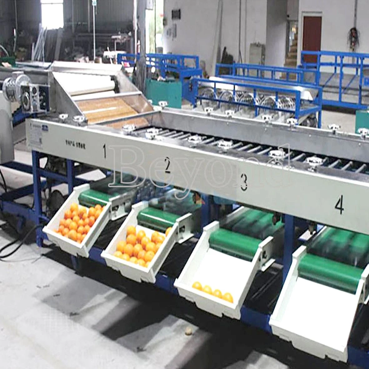 Fruit juice processing equipment automatic mango grading machine