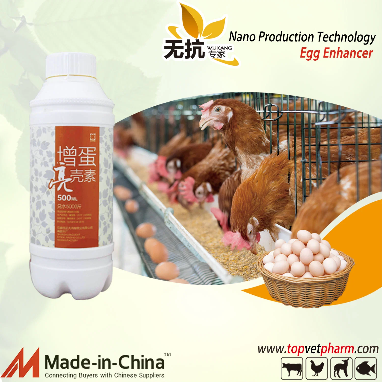 Aumentar la producción de huevos en la capa de pollos
