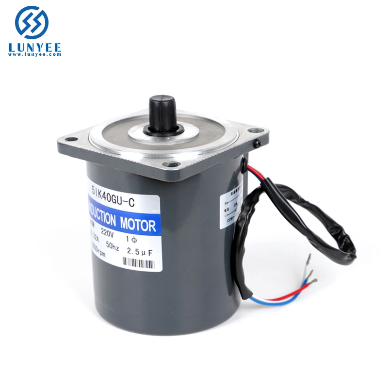 25W 80mm varios Model AC Motor de inducción eléctrica