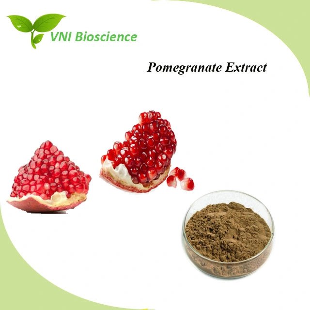 ISO Certified 100% Natural Pomegranate Fruit Juice Powder Pomegranate Extract