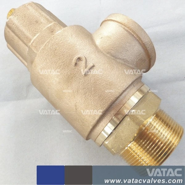 C96800 Spring Loaded Safety Relief Valve