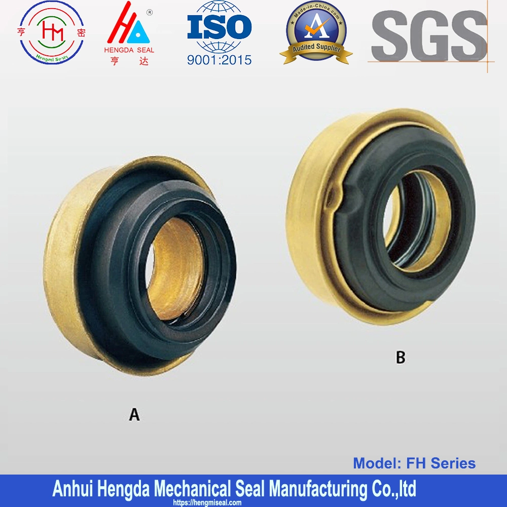 Fbwe Umbra Ugg Ugh Mechanical Seal for Peugeot 405 Pump Seal, Mtu Ugh, Pg 405 Turbojoints