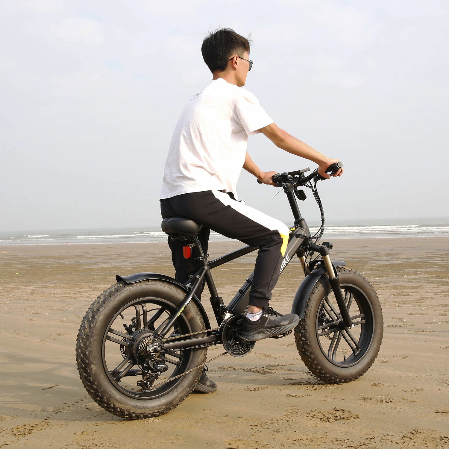 31-60km CE, FR15194 Hotebike Shuangye ou OEM E Vélo Ebike