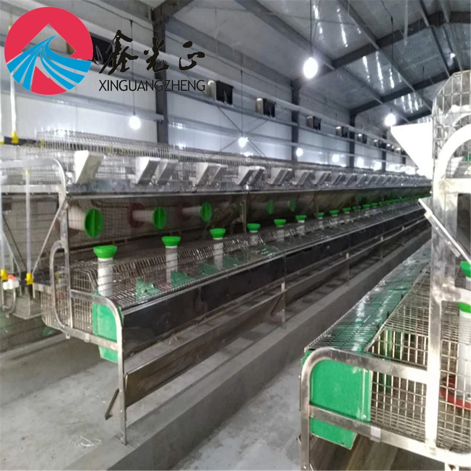 Automatic Closed System Steel Structure Broiler Layer Egg Chicken Farm