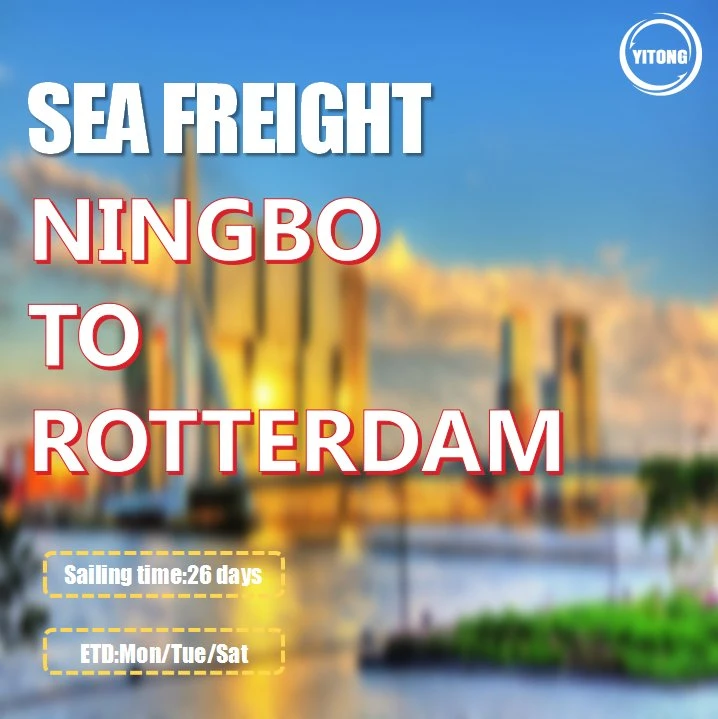 Ocean Freight Rate 20 Container From Guangzhou to Rotterdam