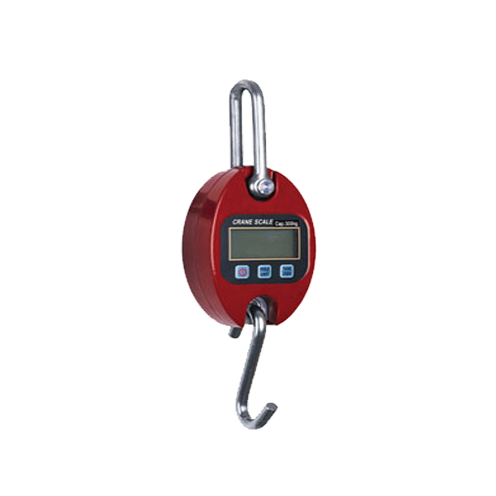 China Manufacturer 100kg 300kg 500kg Weighing Crane Professional Mini Digital Scale