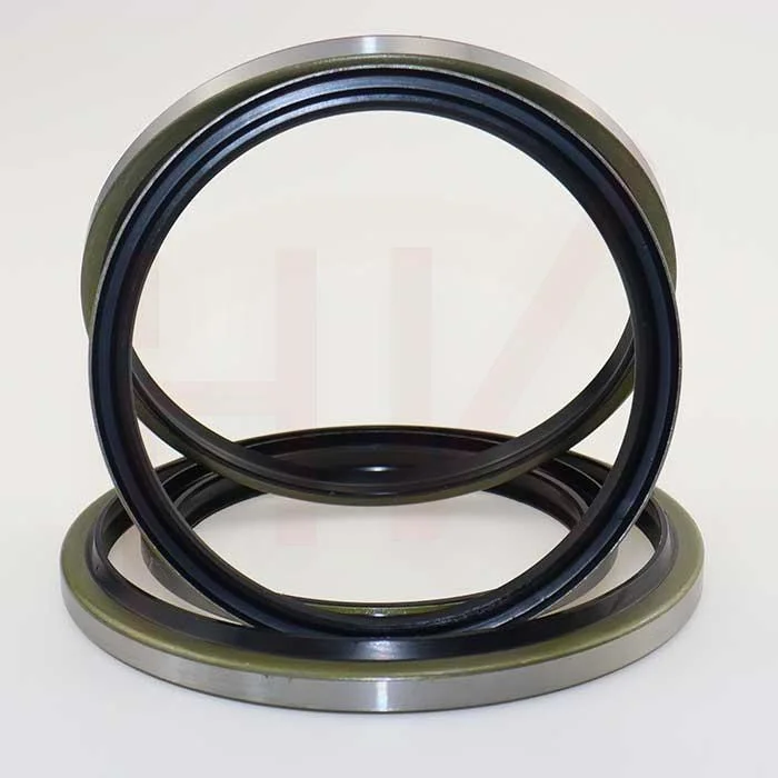 Hydraulic Oil Seal Dkb Outer Iron Shell Frame Dustproof Seal Ring 19*31*6/9