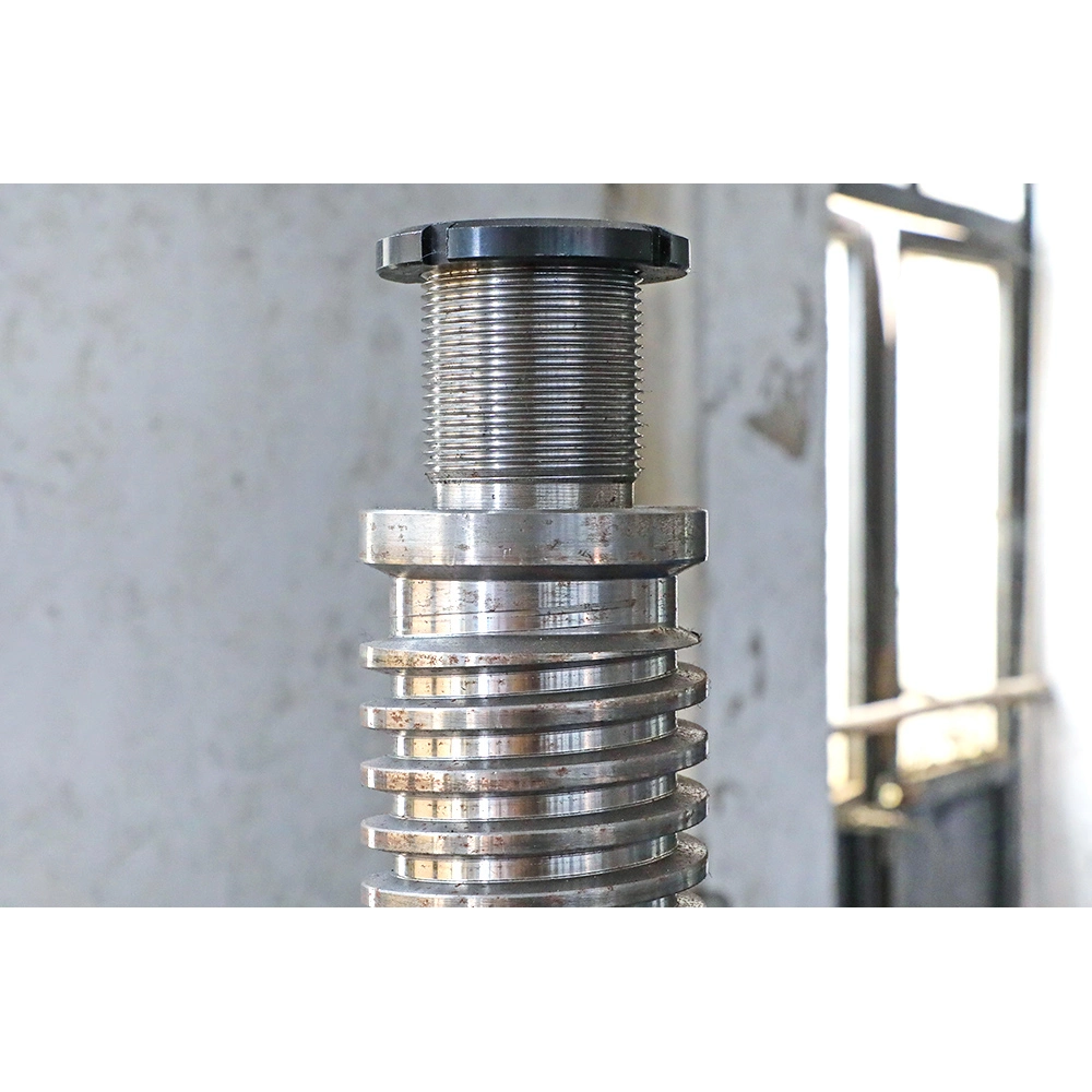 High-Speed Swl Worm Gear Screw Elevator for Rapid Lifting Operations