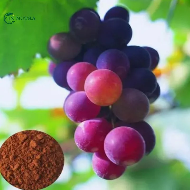 Grape Seed Extract 80% Polypenols 95% Proanthocyanidins Grape Seed Extract