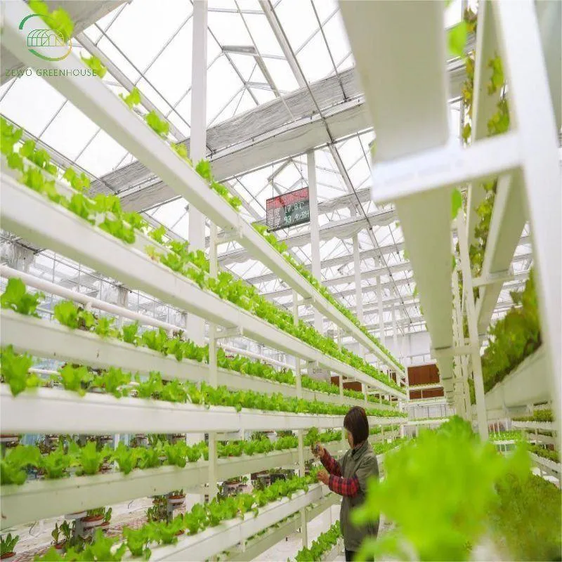 Kostengünstige Hydroponics Gemüsegerähe Tunnel Film Gewächshaus Landwirtschaft Grün Häuser zum Verkauf