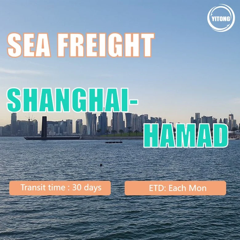 Sea Freight From Shanghai to Hamad