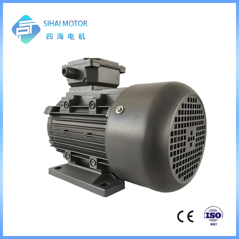 22kw 2 Pole High Efficiency AC Engine Three Phase Motor