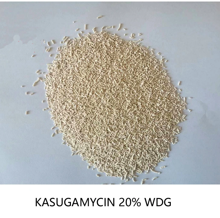 Insecticida agroquímicos Kasugamycin Kasumin Kasurabcide Kasumin-Bordeaux 70%Tc 10%6%WP WP 2%SL Precio fungicida 6980-18-3